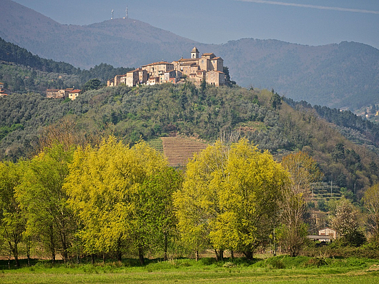 Capannori Pirnas Partnerstadt Capannori in Italien