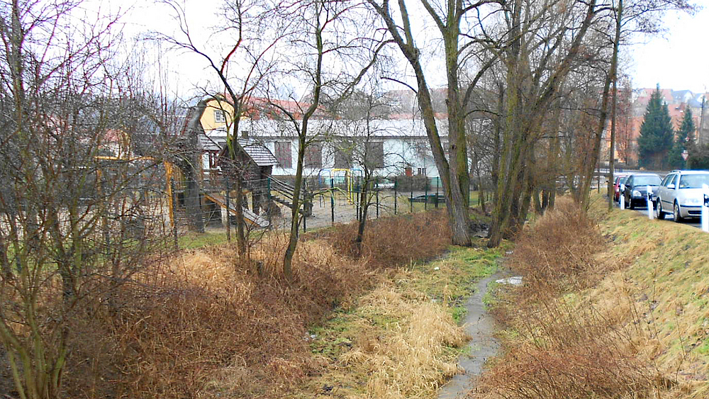 Eulengrundbach Foto des Gewässers Eulengrundbach in Pirna
