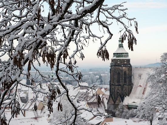Pirnaer Schlossberghang im Winter Pirnaer Schlossberghang im Winter