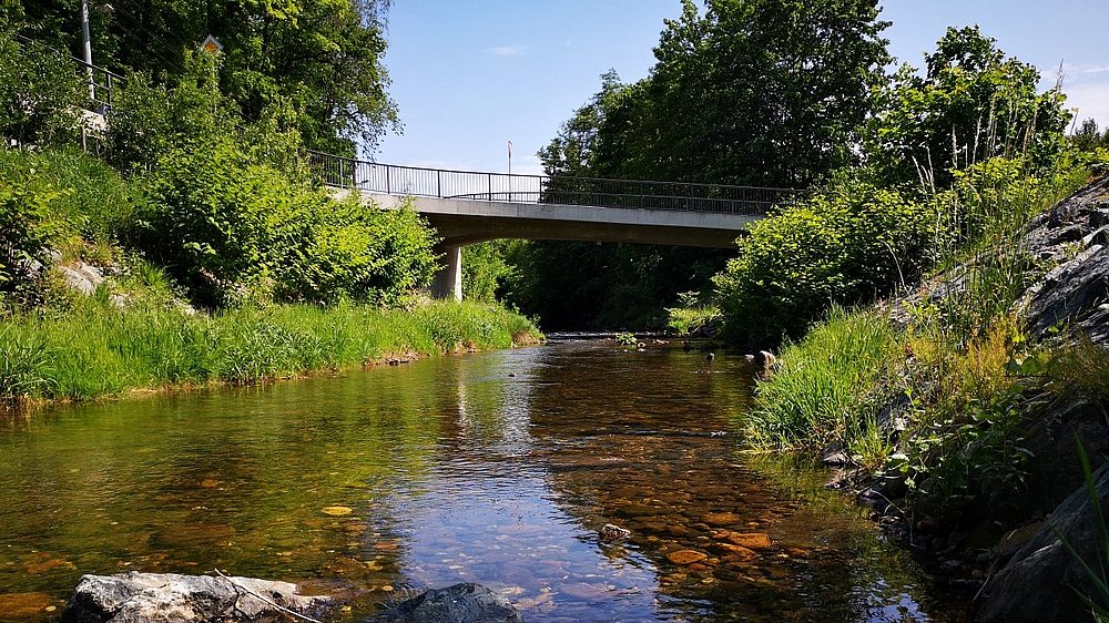 Brücke über Gottleuba in Neundorf 