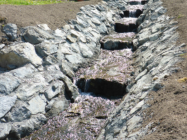 Mädelgraben Foto des Gewässers Mädelgraben in Pirna