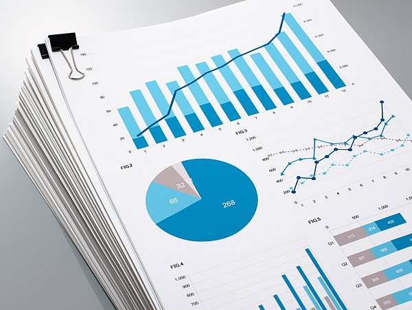 Konzern Stadt Pirna Diagramme als Sinnbild für den Konzern der Stadt Pirna