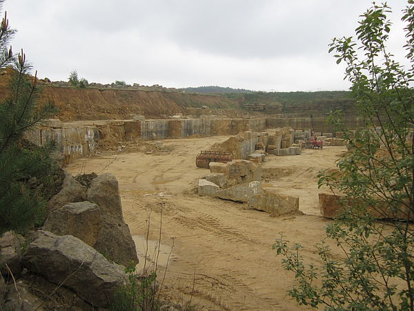 Wenn Steine sprechen könnten... Sandstein in Pirna