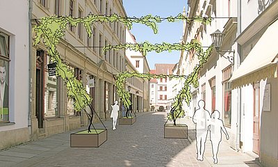 Idee zur Stadtbegrünung auf der Schössergasse in Pirna