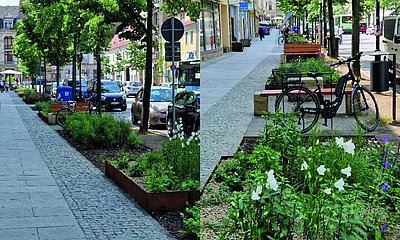 Umsetzung der Stadtgärten auf der oberen Breiten Straße