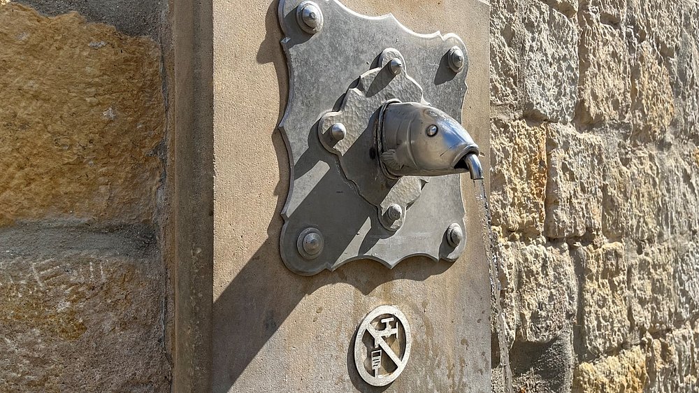 Pirnas Fischkopfbrunnen mit Symbol "Kein Trinkwasser"