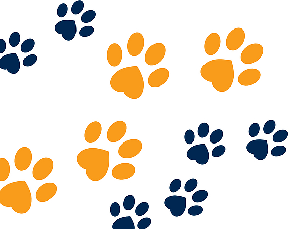 Pfotenabdrücke grafische Darstellung von Pfotenabdrücken