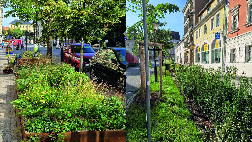 Obere Breite Straße NACH Projektumsetzung der Stadtgärten