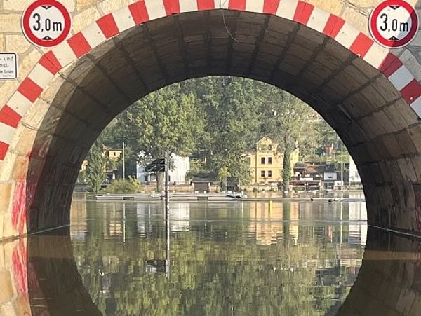 Hochwasser am Elbufer in Pirna