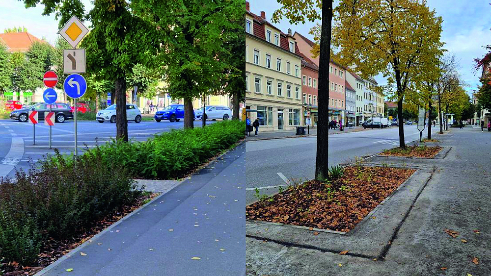 untere Breite Straße nach Projektumsetzung Breite Straße nach Umsetzung des Projektes der Stadtgärten