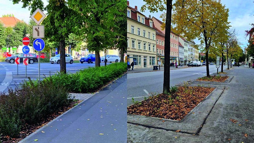 Breite Straße nach Umsetzung des Projektes der Stadtgärten