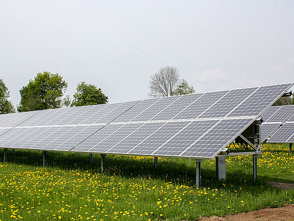 Solaranlage auf einer Wiese in Pirna