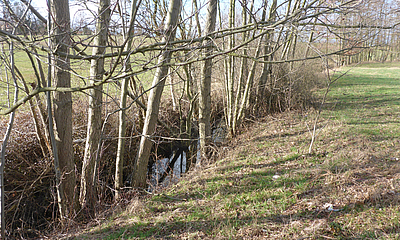 Lugteichgraben Maßnahme zur Unterhaltung des Lugteichgrabens