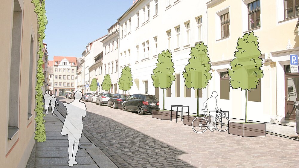 Idee zur Begrünung der Langen Straße in Pirna 